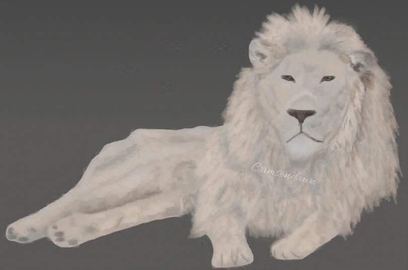 White Lion White Lion